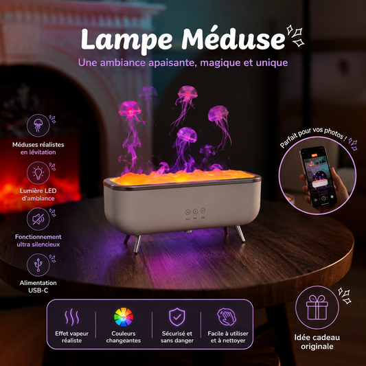 Le Diffuseur de Parfum Pour La Maison