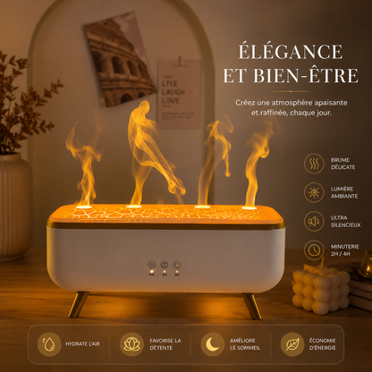 Le Diffuseur de Parfum Pour La Maison