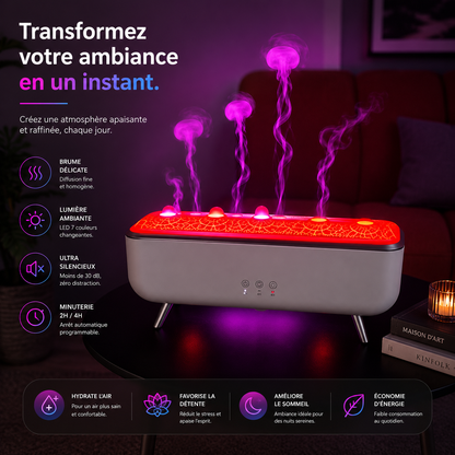 Le Diffuseur de Parfum Pour La Maison